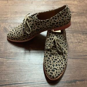 DV by Dolce Vita Leopard Oxfords